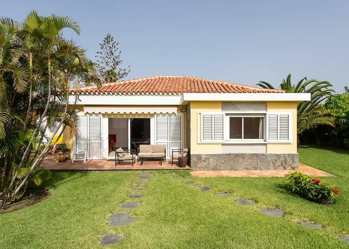 Cordial Macaro Daire *